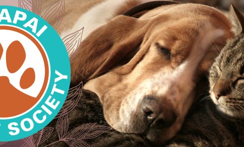 Yavapai Humane Society