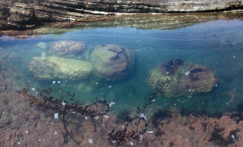Morro Bay Harbor Festival