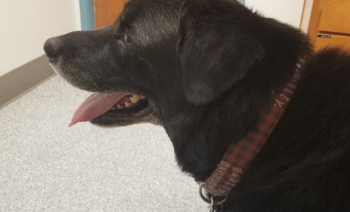 Academy West Animal Hospital