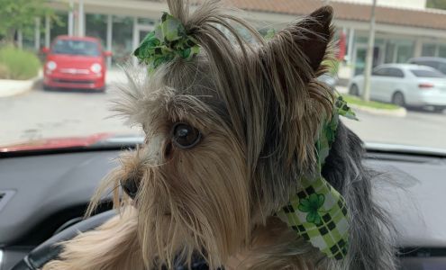 Duke and Dutchess Pet Grooming