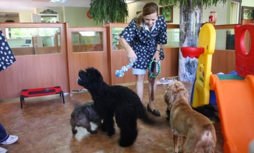 Magic Grooming & Pet Resort North Bay Village