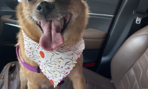 Woof Gang Bakery & Grooming Longwood