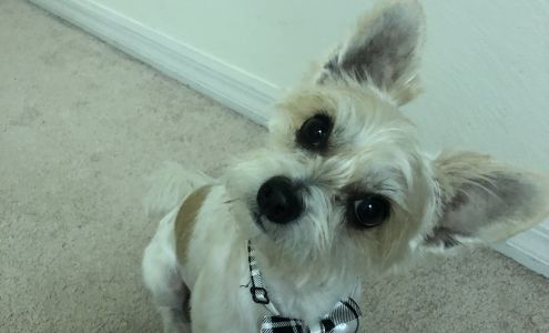 Happy Tails Pet Salon