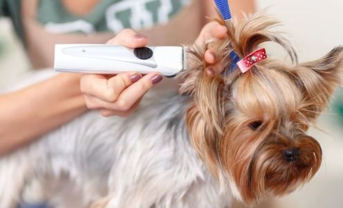 Dog Wash Cafe - Windward