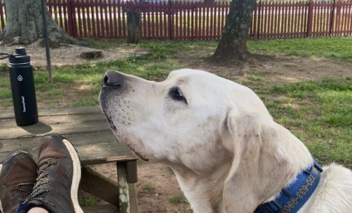 A Passion For Pets Playcare