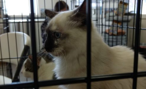 Bannock Humane Society