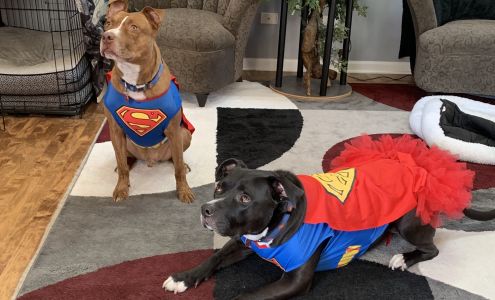 Will County Humane Society