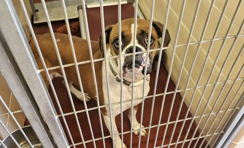 Winnebago County Animal Services