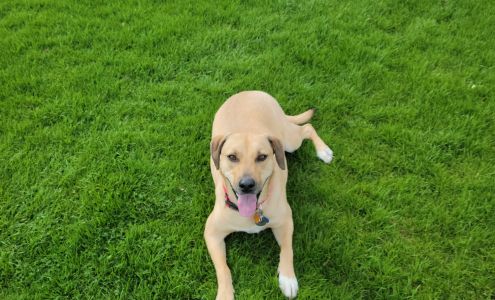 Kay's Animal Shelter