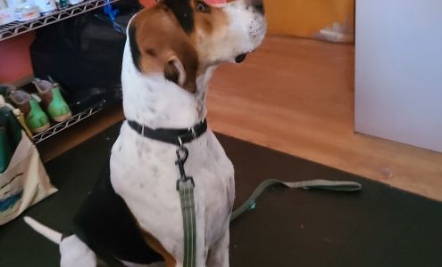 Planned Pethood Clinics