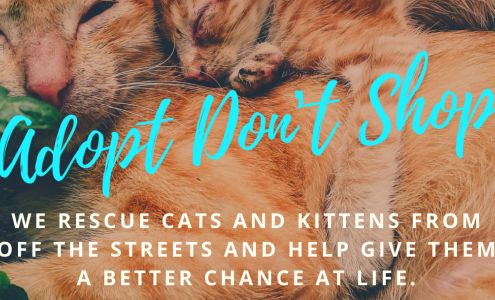 The Cat Corner, Inc.