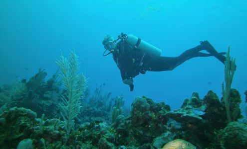 Anchor Bay Scuba Fair Haven