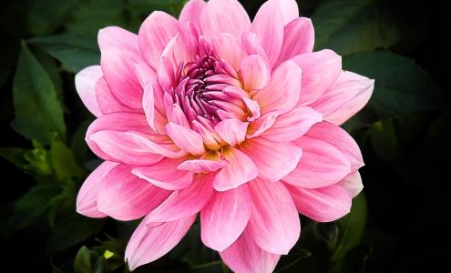 Green Thumb Florist Brimfield