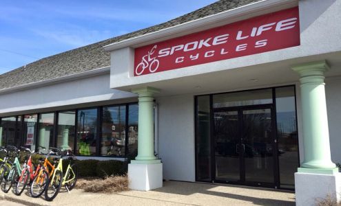 Spoke Life Cycles (Sylvania)