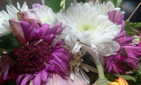 Flowers by Ranchview