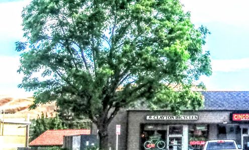 Clayton Bicycle Center