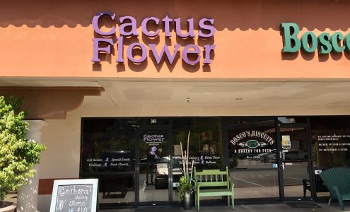 Cactus Flower Florist