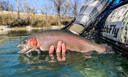 ReelFly Fishing Adventures