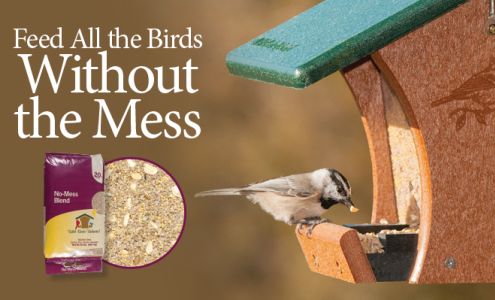 Wild Birds Unlimited