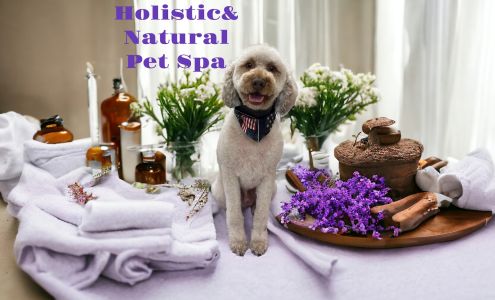 Adorable Animal Designs Quantum Pet Spa