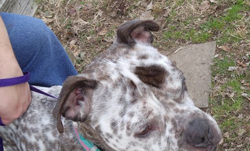 Humane Society Animal Shelter