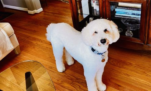 Scrubbers Self-Serve Dog Wash & Professional Grooming - Royal Oak