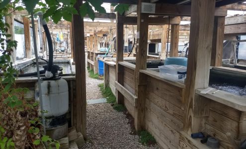 Apol's Water Gardens