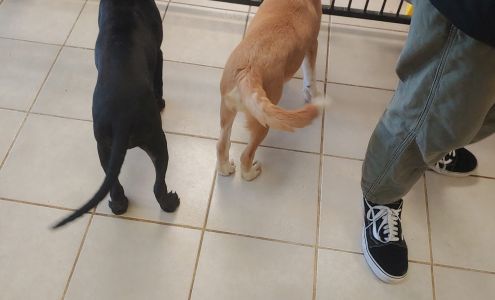 Dogwood Shelter (Lake Crabtree County Park)