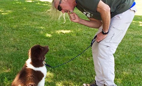 Bob Minchella's dog owner counseling