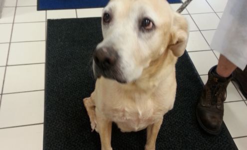 Anita’s Stevens Swan Humane Society