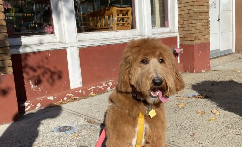 Bow Meow Grooming NY Ardsley