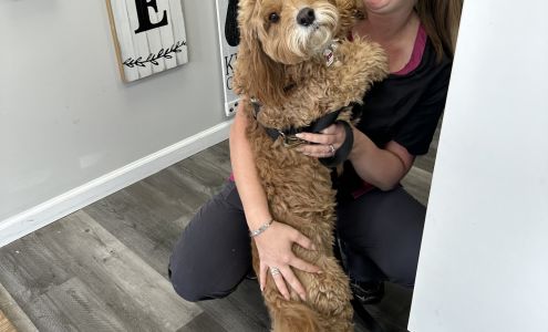 Amy's Pet Palace - Dog And Cat Grooming