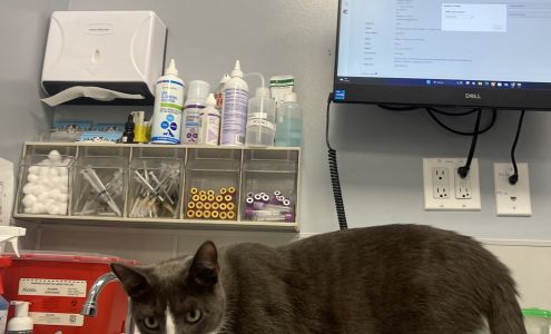 Williamsburg Veterinary Clinic