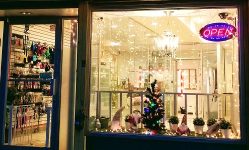 Fancy Doggy-Dog Grooming, Daycare and Boarding(Doggy Doggy) 애견 미용실