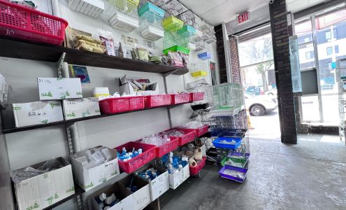 Royal Birds & Supplies