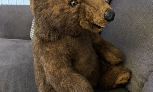 Secaucus Doll & Teddy Bear