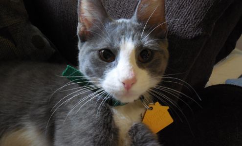 Jersey Shore Animal Center