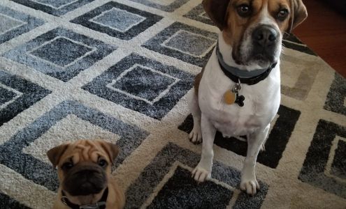 Breeders Club of America