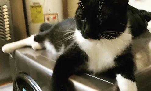 Capital Humane Society Admissions & Assessment Center