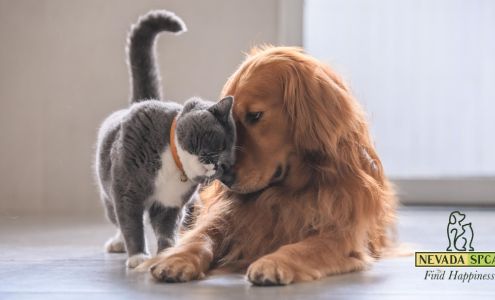 Nevada SPCA