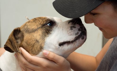 Humane Society Of The Tennessee Valley