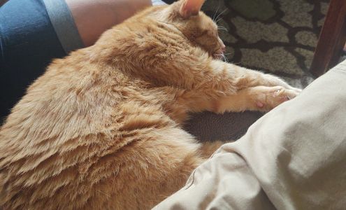 Humane Society of Ottawa County