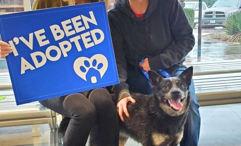 Pet Circle Regional Animal Center