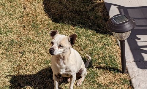 Humane Society of Odessa