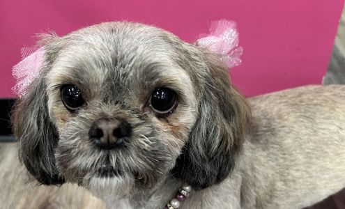 Woof Gang Bakery & Grooming Richmond