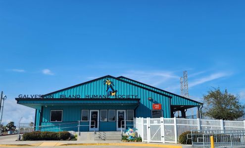 Galveston Island Humane Society
