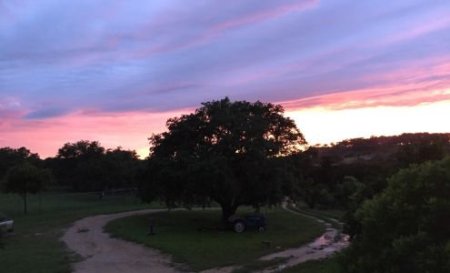 Frandy Oaks Pet Resort