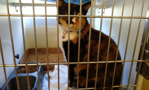 Florence Area Humane Society