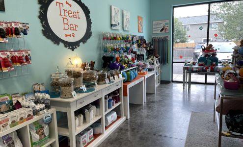 K-9 to Five Doggy Playcare & Spa