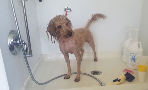 Susan's All Breed Pet Grooming